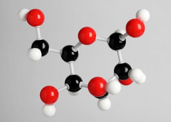 Endorfina e QORGEN® — Energia que Desperta o Corpo e o Humor”